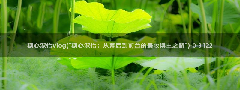 糖心vlog app：糖心淑怡vlog(\