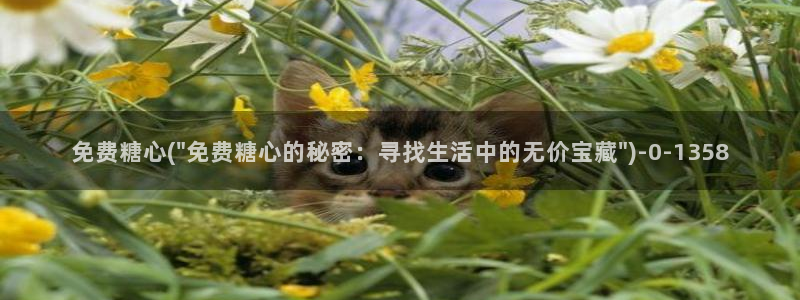 糖心vlog小二：免费糖心(\