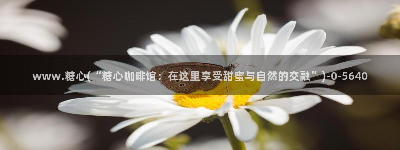 糖心vlog下载方式