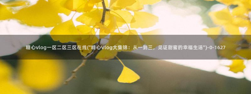 糖心vlog网站免费看：糖心vlog一区二区三区在线(\
