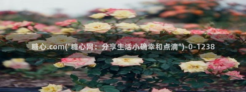 糖心,vlog