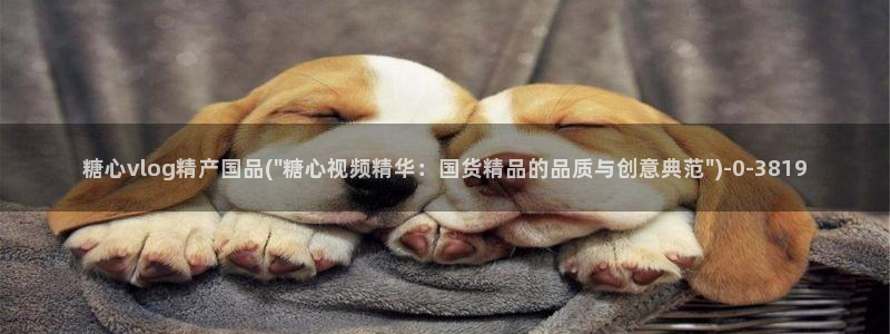 柚子猫糖心vlog肉丝：糖心vlog精产国品(\