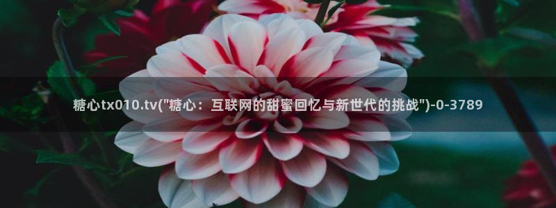 糖心vlog下载方式