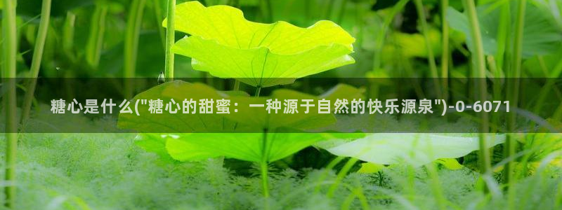 糖心vlog破解教程