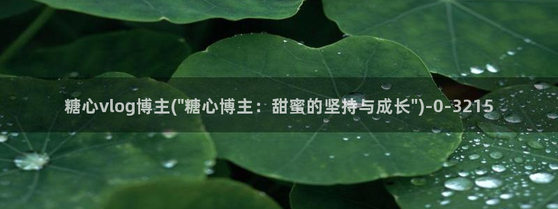糖心vlog下