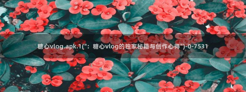 糖心vlog精品在线