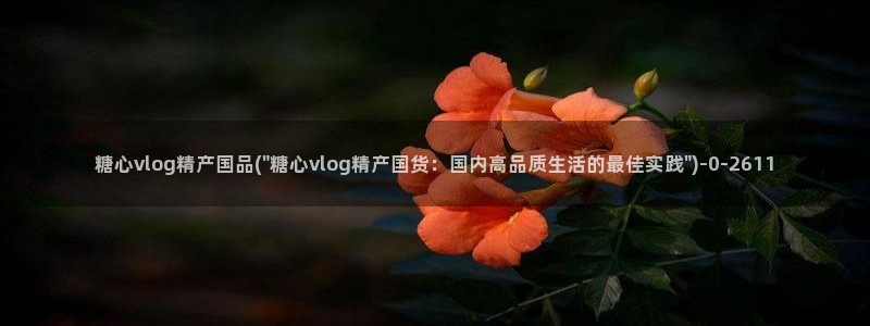 糖心vlog无限次数