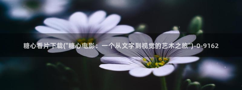 糖心少女vlog免费观看