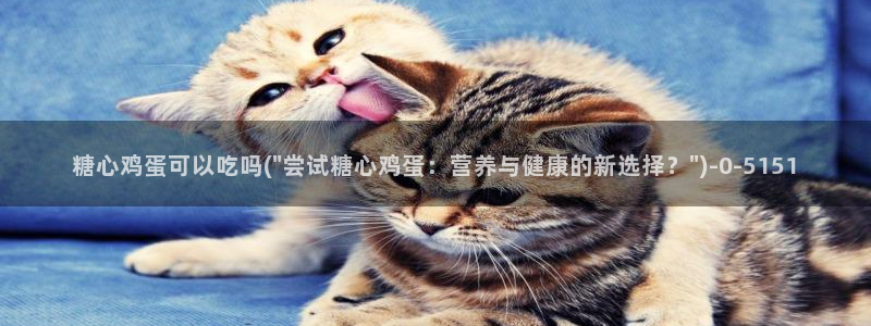 心糖vlog怎么下载