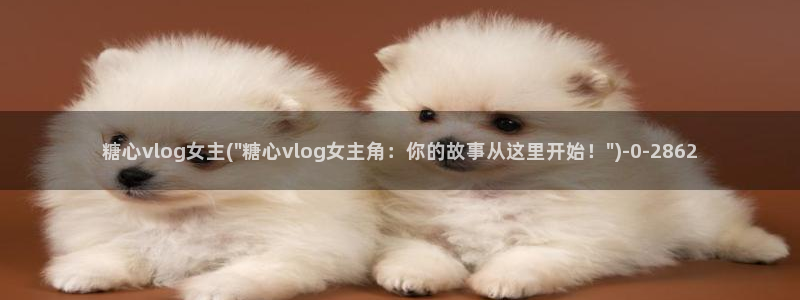 糖心vlog在线观