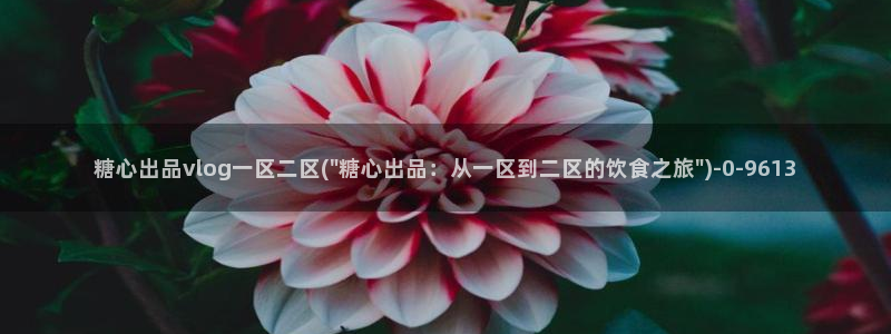 糖心短视频vlog下载