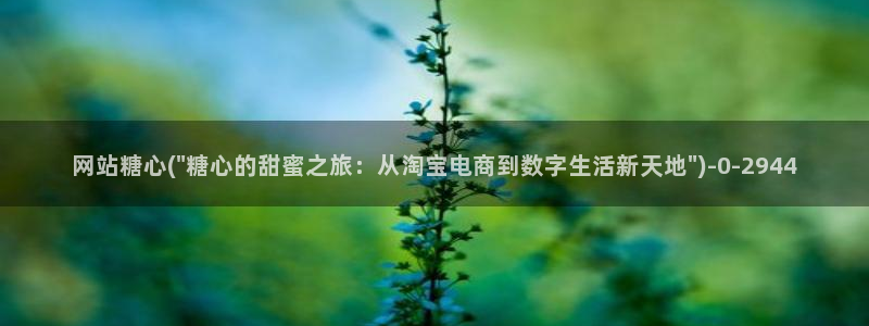 糖心视频vlog入口